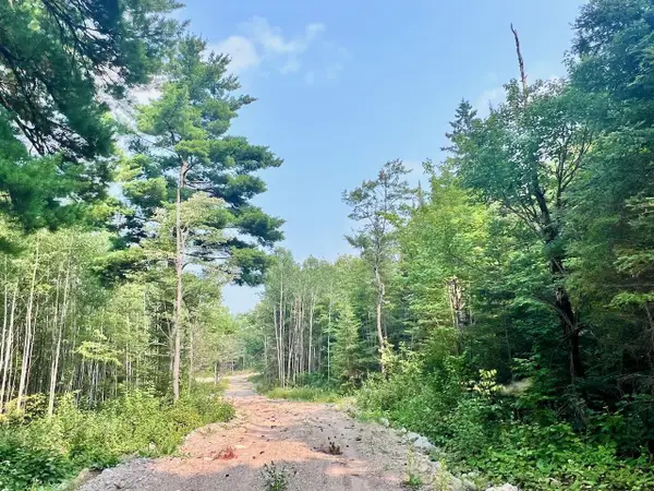 Parcel B Vermilion Lake Rd, Beatty Twp, MN 55723