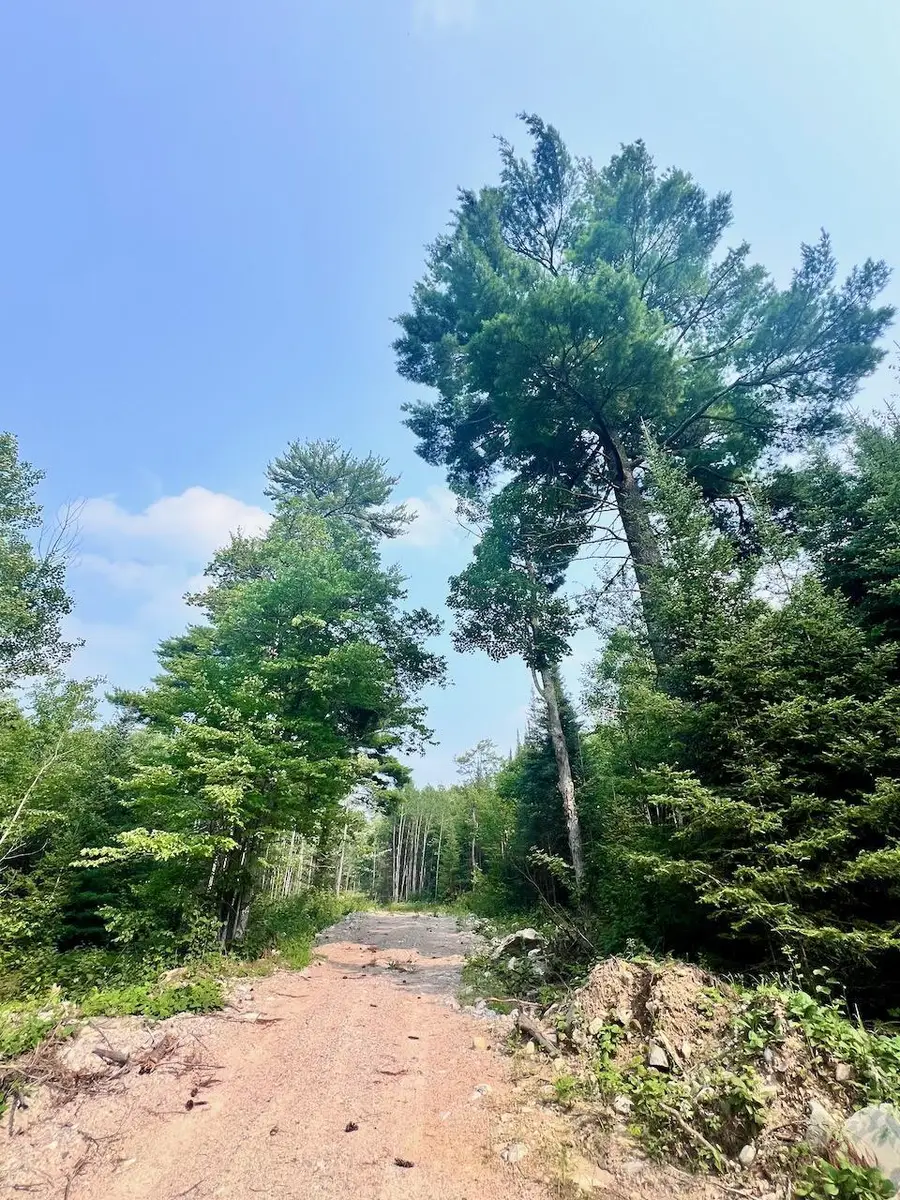 Parcel B Vermilion Lake Rd, Cook, MN 55723 - Image #3