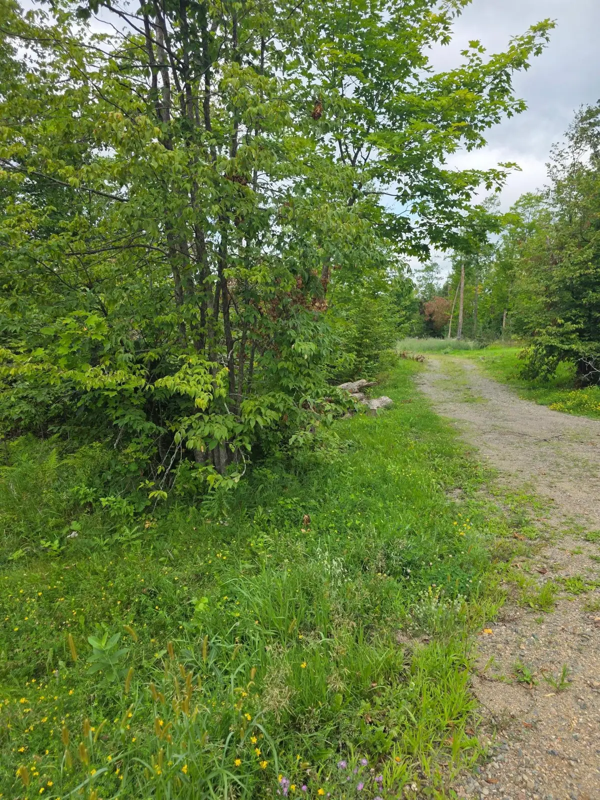 14635 Anjonabe Court Se, Ten Lake, MN 56601 - Image #1