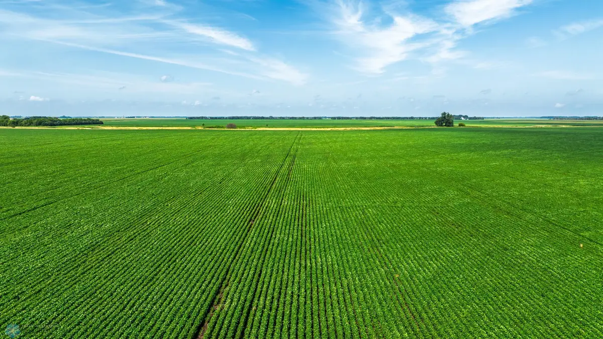 TBD County Road 1, Barney Township, ND 58061 - Image #1