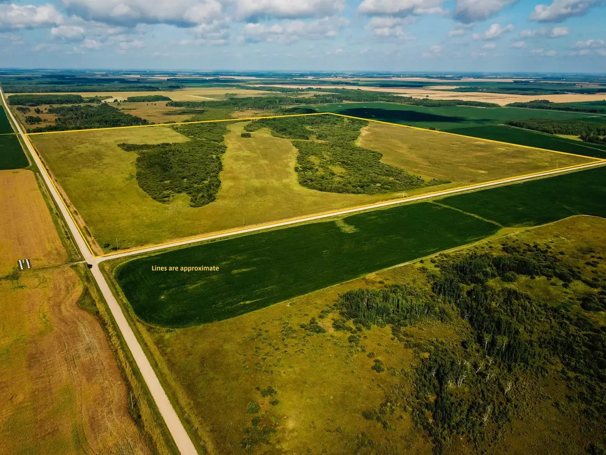 TBD 220th Avenue, Stokes Township, MN 56714 - Image #1