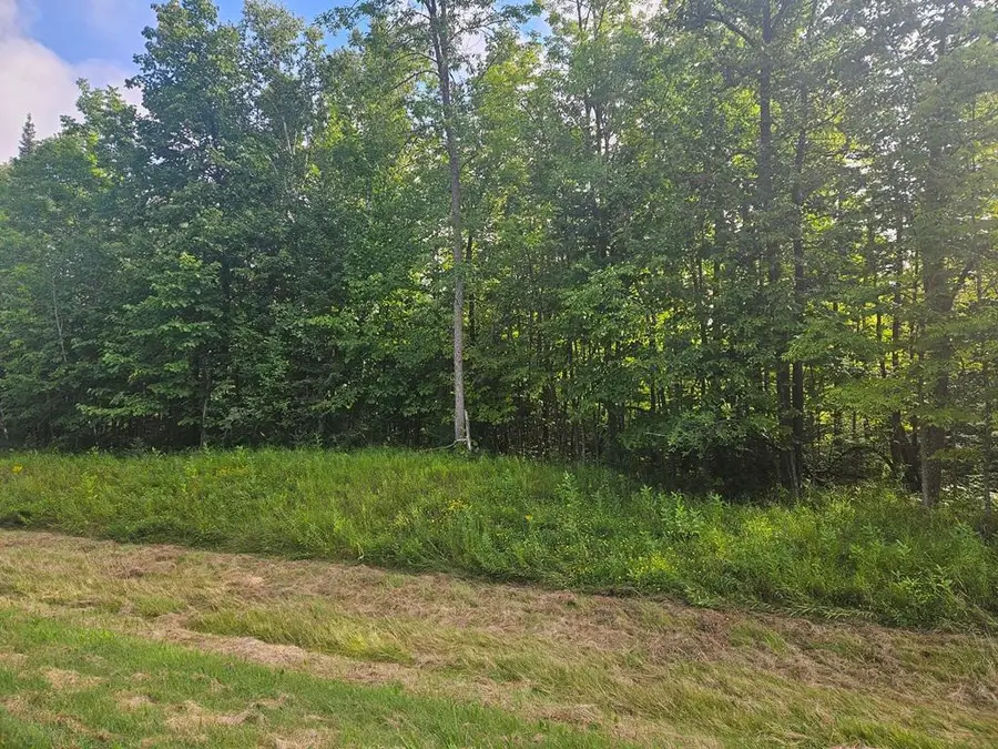 Lt 1 Blk 1 County Rd 238, Deer River, MN 56636 - Image #2