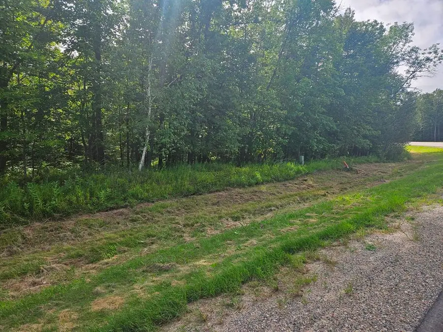 Lt 1 Blk 1 County Rd 238, Deer River, MN 56636 - Image #3