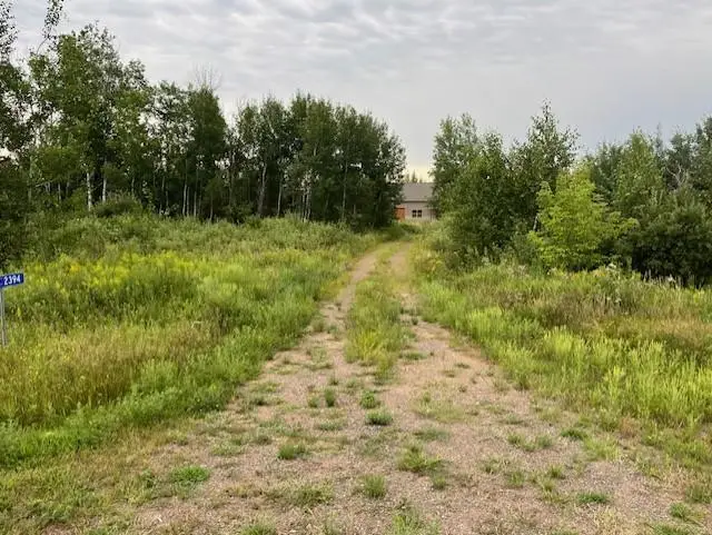 TBD Olympic Street, Whited Township, MN 55007 - Image #3