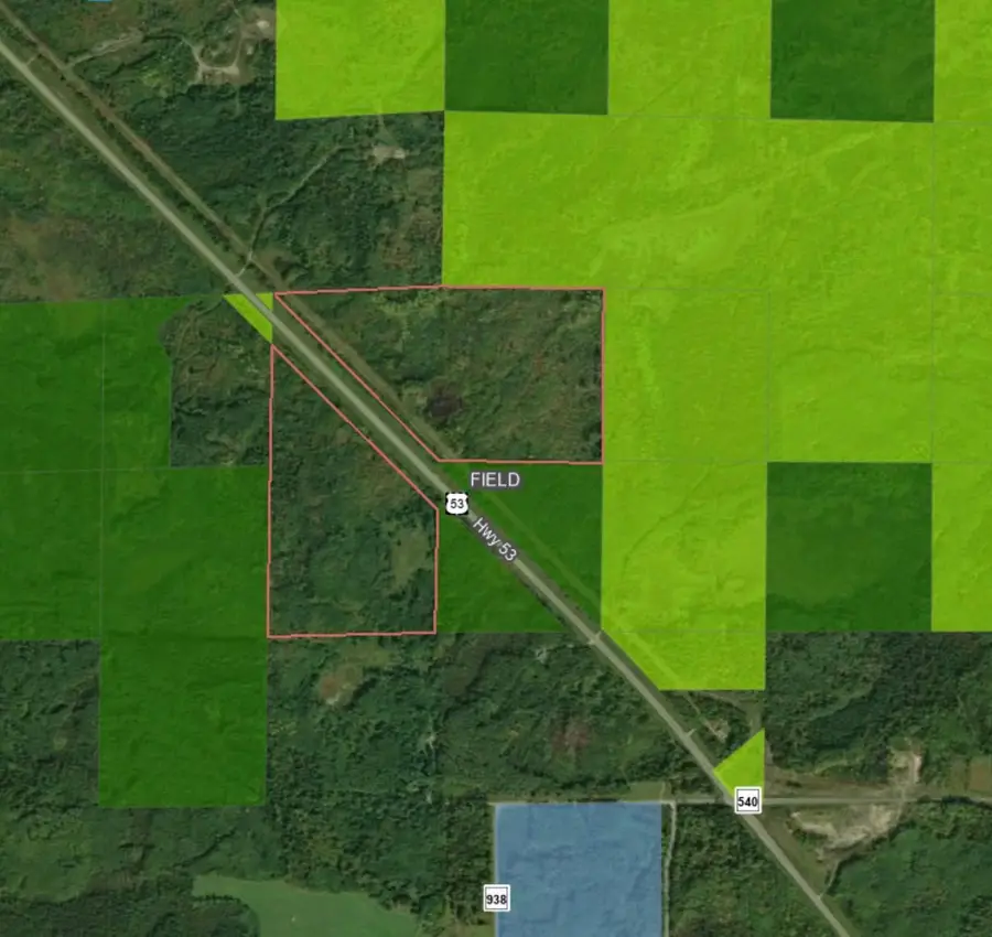 TBD Hwy. 53, Field, MN 55723 - Image #3