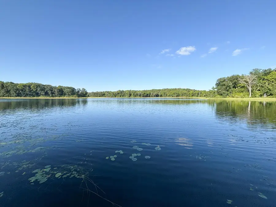 33232 260th Avenue, Erhard, MN 56534 - Image #2