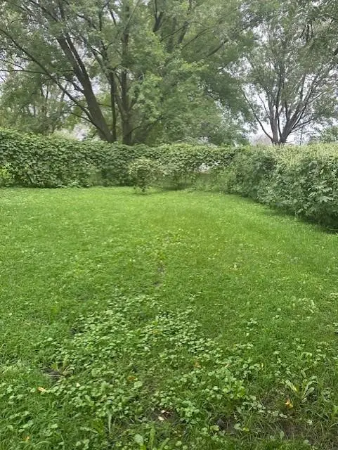 306 Maple Street, Lyle, MN 55953 - Image #3