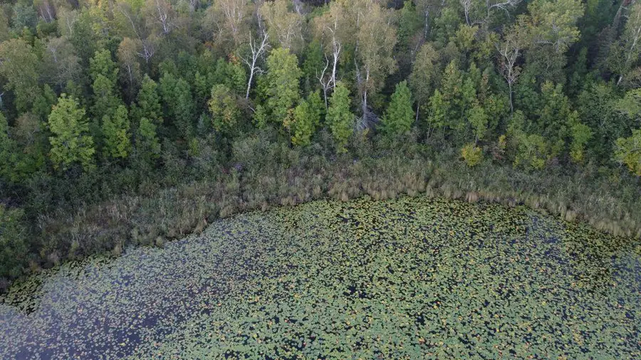 Parcel B E Gunn Lake Trail, Marcell, MN 56657 - Image #2