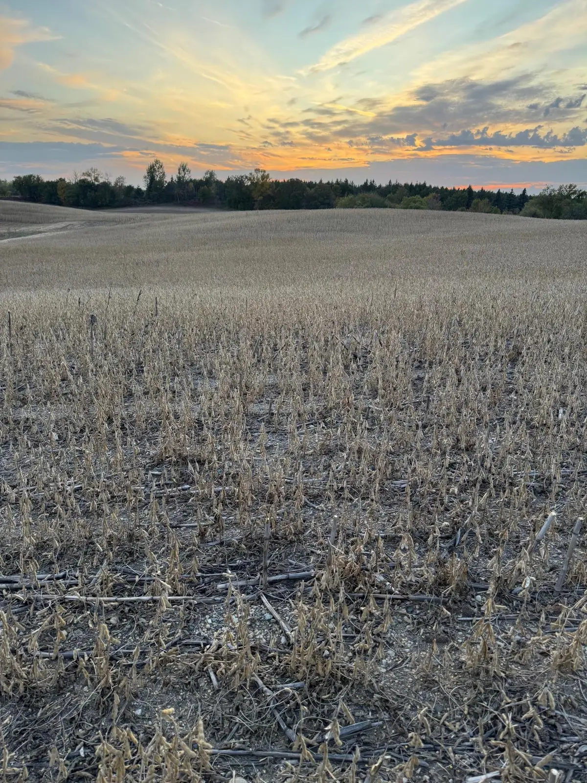 TBD Placid Drive, Dent, MN 56528 - Image #1