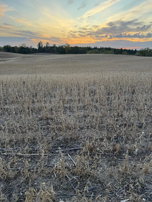 TBD Placid Drive, Dent, MN 56528