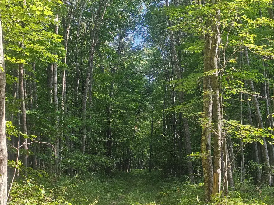 Lot 3 Ken Can Lane, Webster, WI 54893 - #2