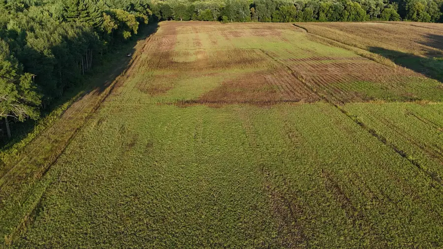 3XXXX Verdin Street Nw, Maple Ridge Township, MN 55080 - Image #2