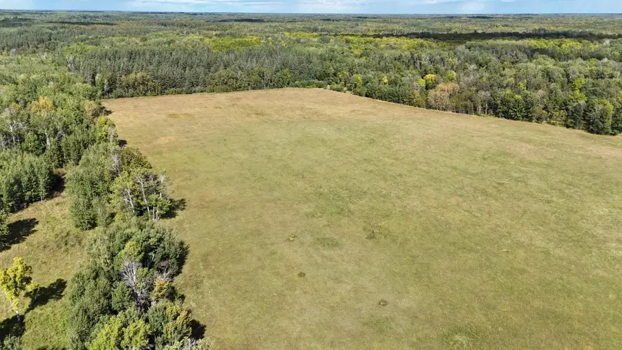 TBD County Road 31, Pomroy, MN 56688 - Image #3