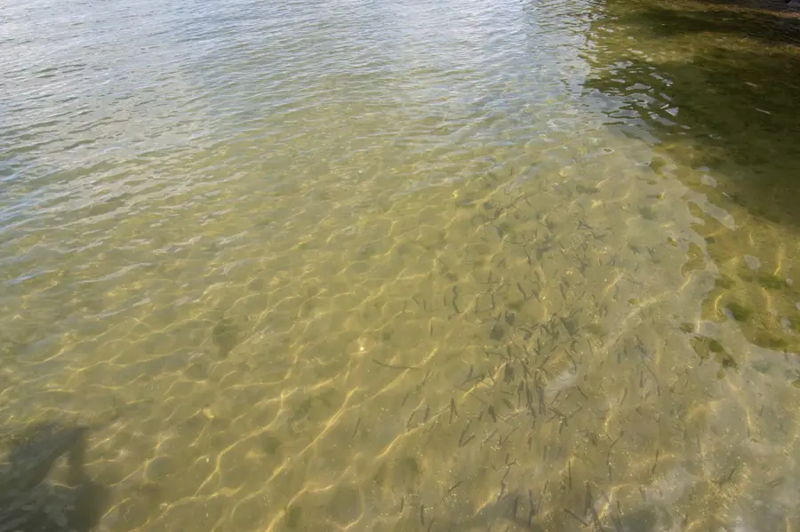 Lot 3 Four Winds Dr, Otter Tail, MN 56515 - Image #2