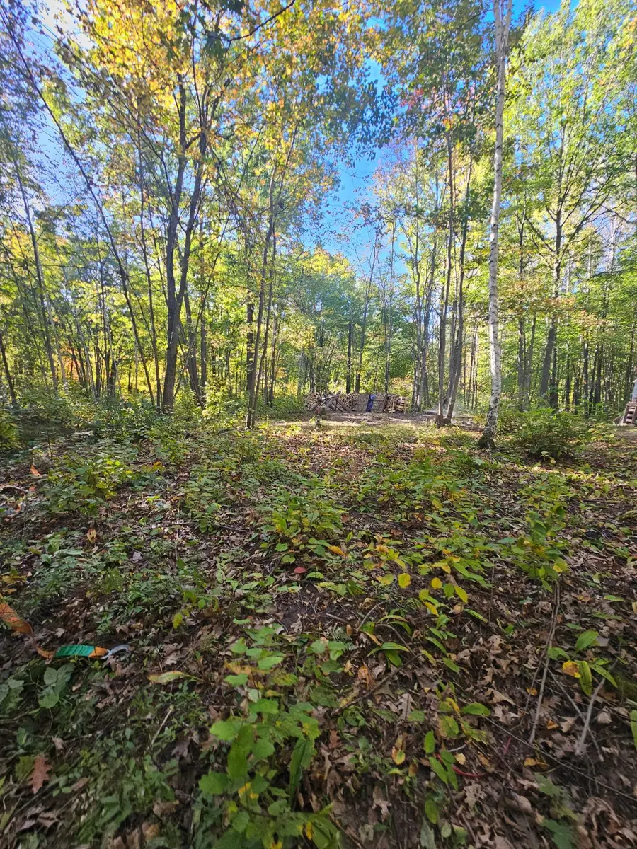 40353 Root Road, Partridge, MN 55704 - Image #3