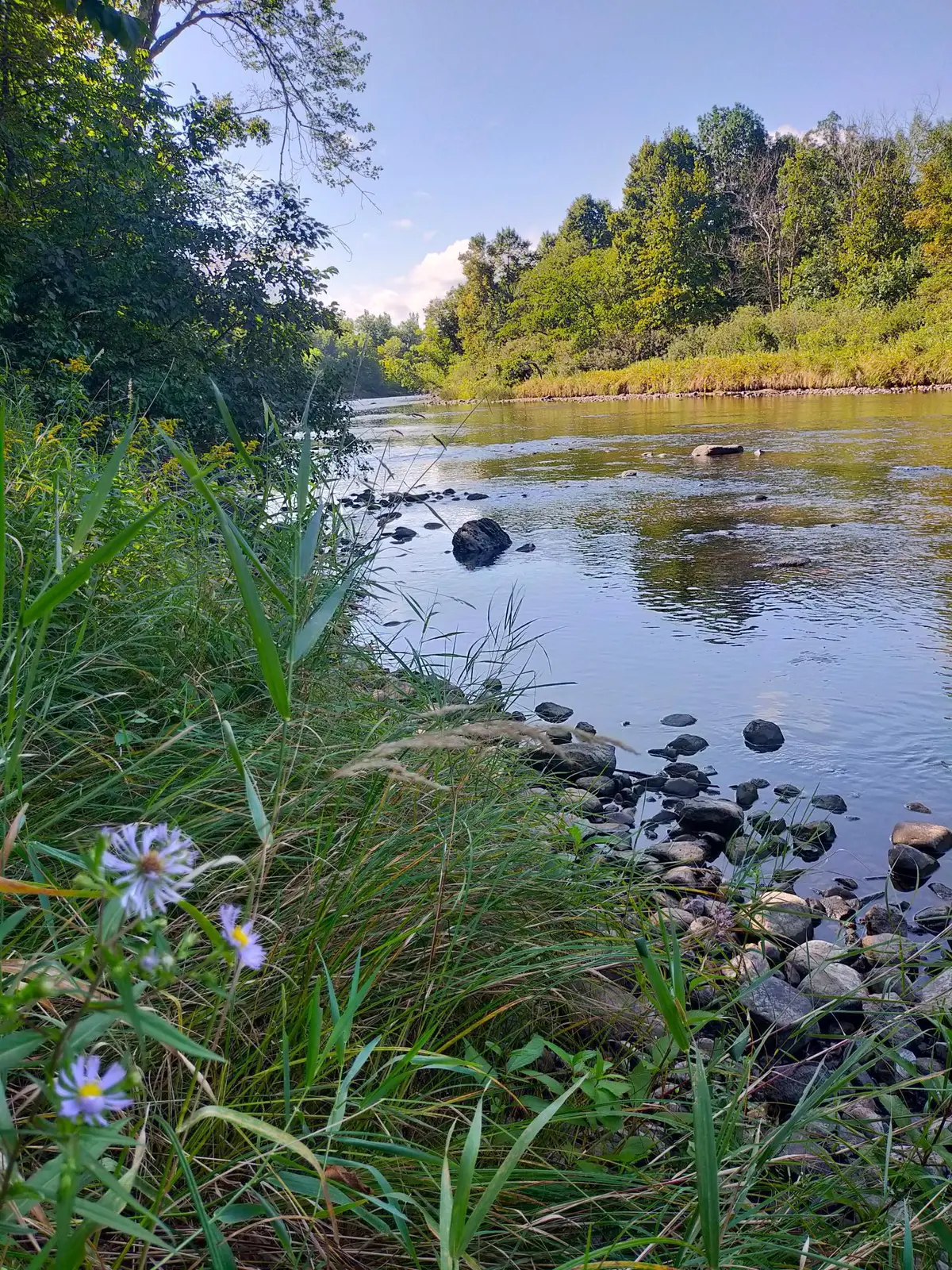 TBD (XXXXX) 185th St, Milaca Township, MN 56353 - Image #1