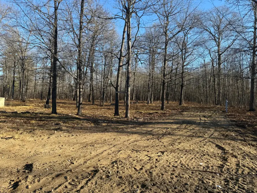 30371 Old Sunset Drive, Lakeport, MN 56461 - Image #3