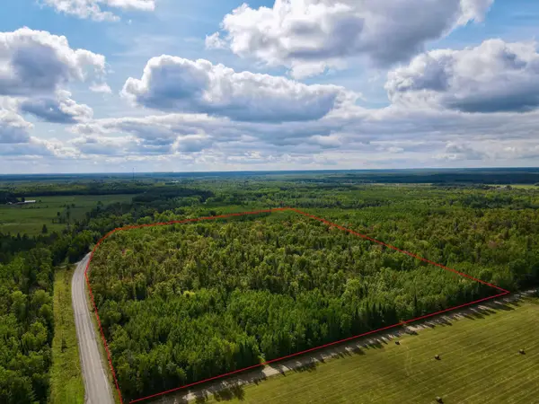 37139 Hanson Rd, Bigfork Twp, MN 56628