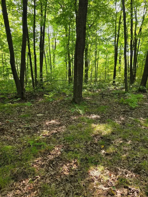 00 30th Street, McKinley Twp, WI 54829