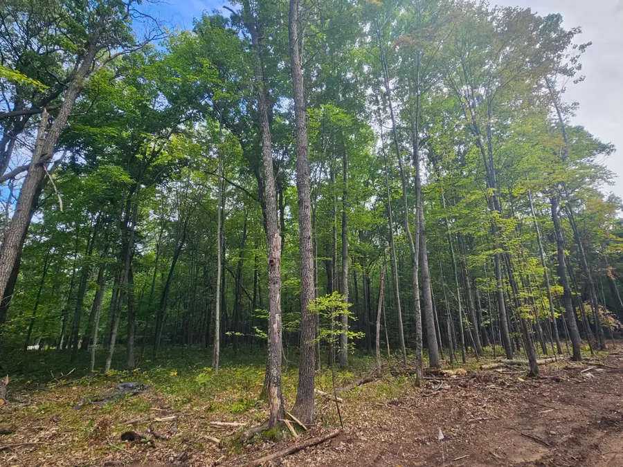 Lot 5 Ken Can Lane, Webster, WI 54893 - #2