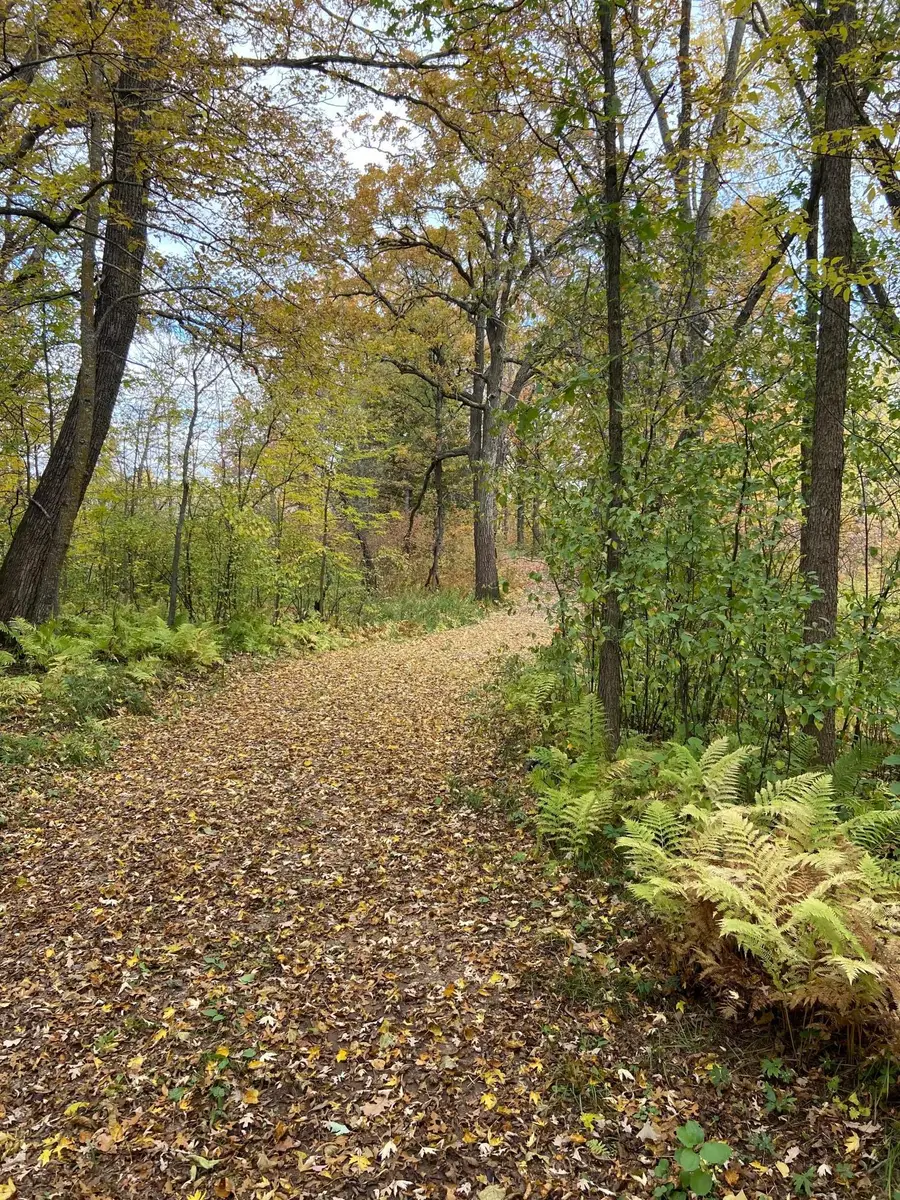 28350 Moose Horn Lane, Sturgeon Lake, MN 55783 - Image #3