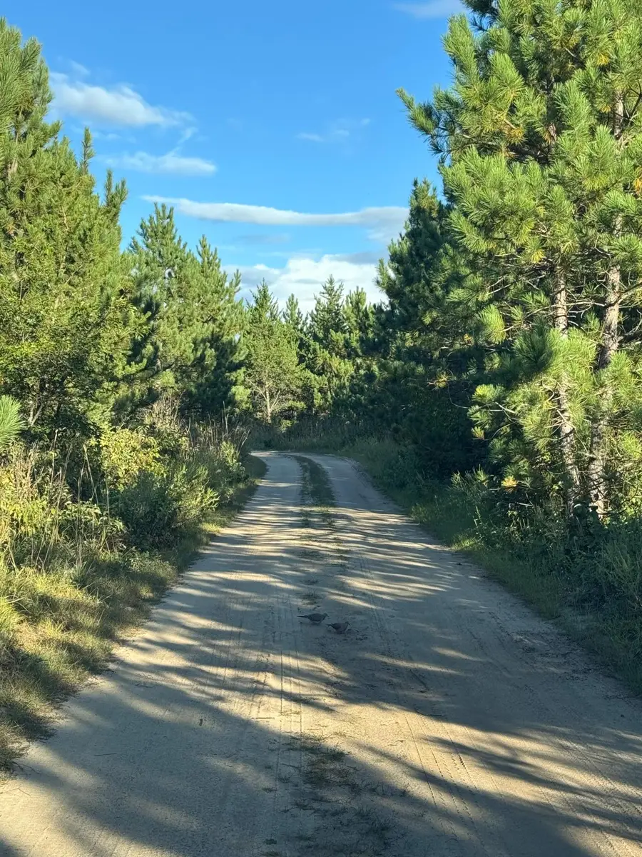 25333 196th Street, Bullard, MN 56479 - Image #2