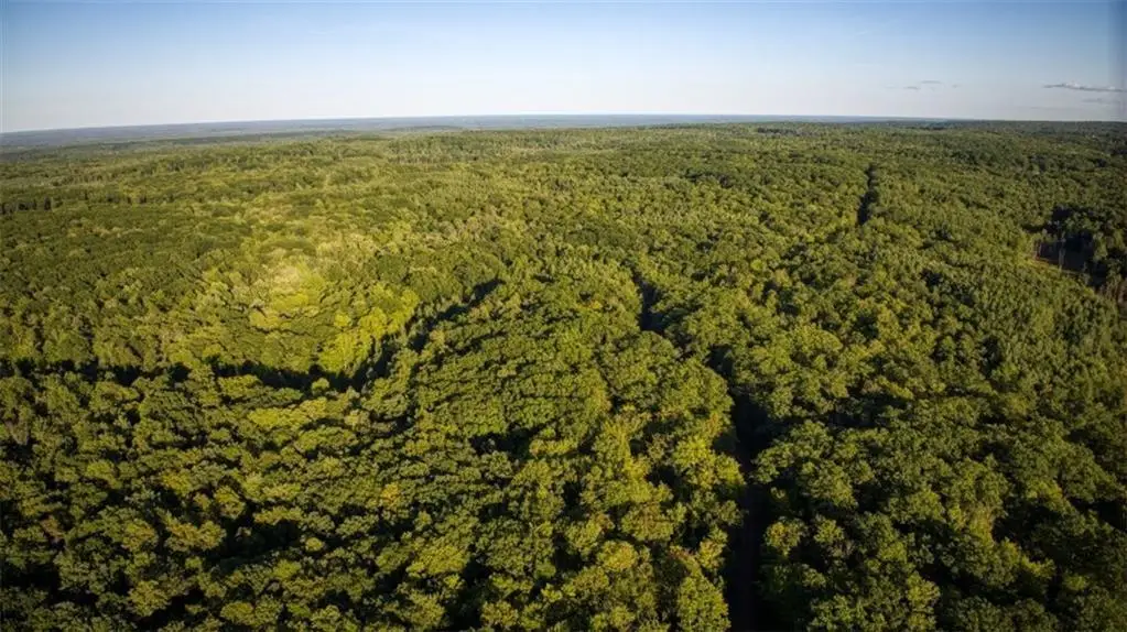 1923 Acres County Hwy C & Comet Rd Acres County, Exeland, WI 54835 - #1