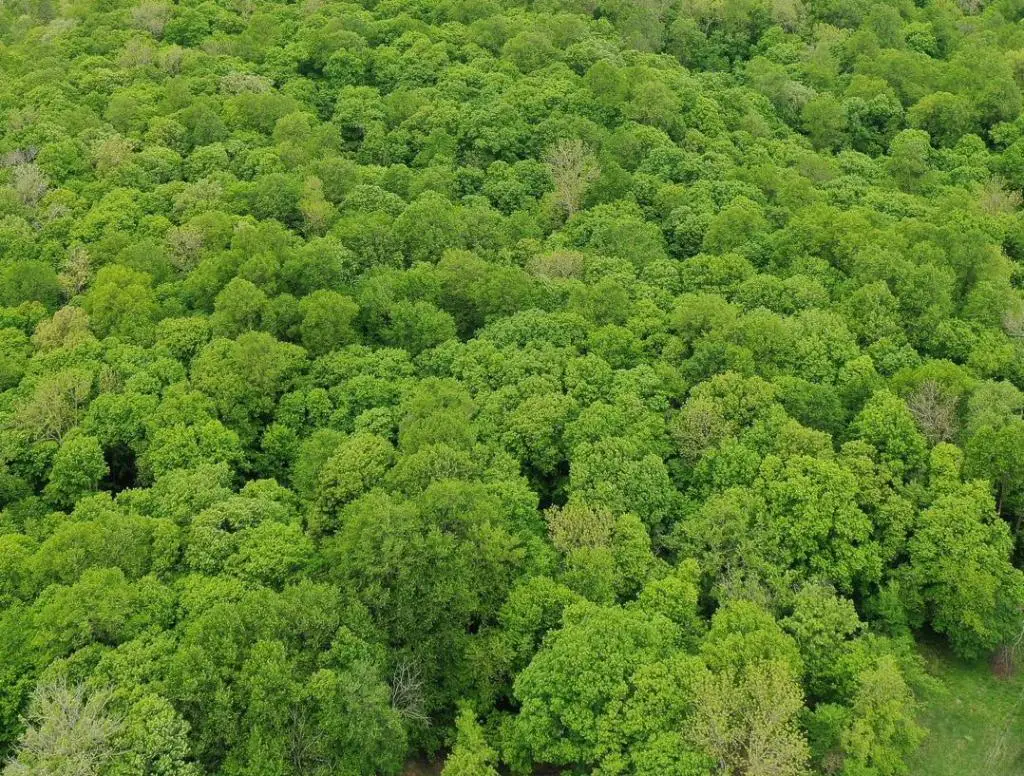 (Lot 10) TBD NE Rock Lake Road, Rochert, MN 56578 - Image #1