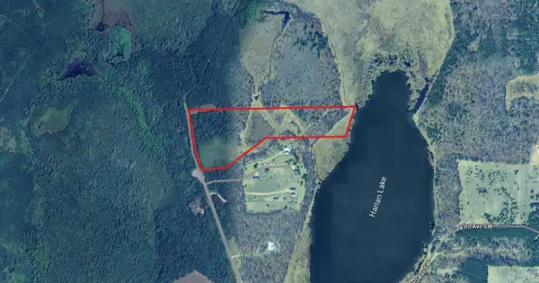 Parcel 9 Spring Road, Sylvan Twp, MN 56473