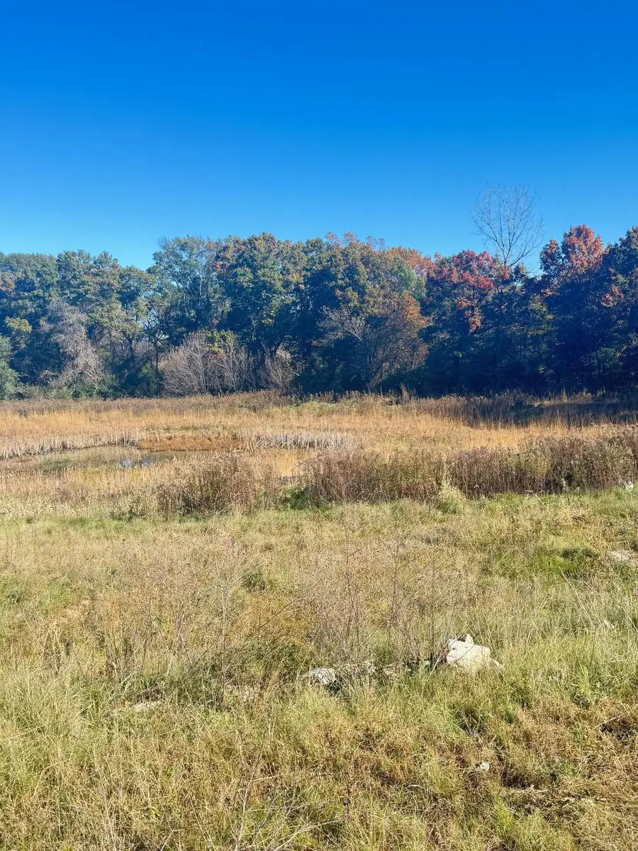 10484 56th Place N, Lake Elmo, MN 55042 - Image #3