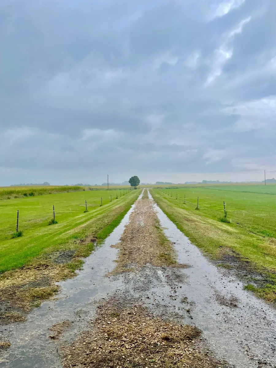 20157 540th Avenue, Wells, MN 56097 - Image #2