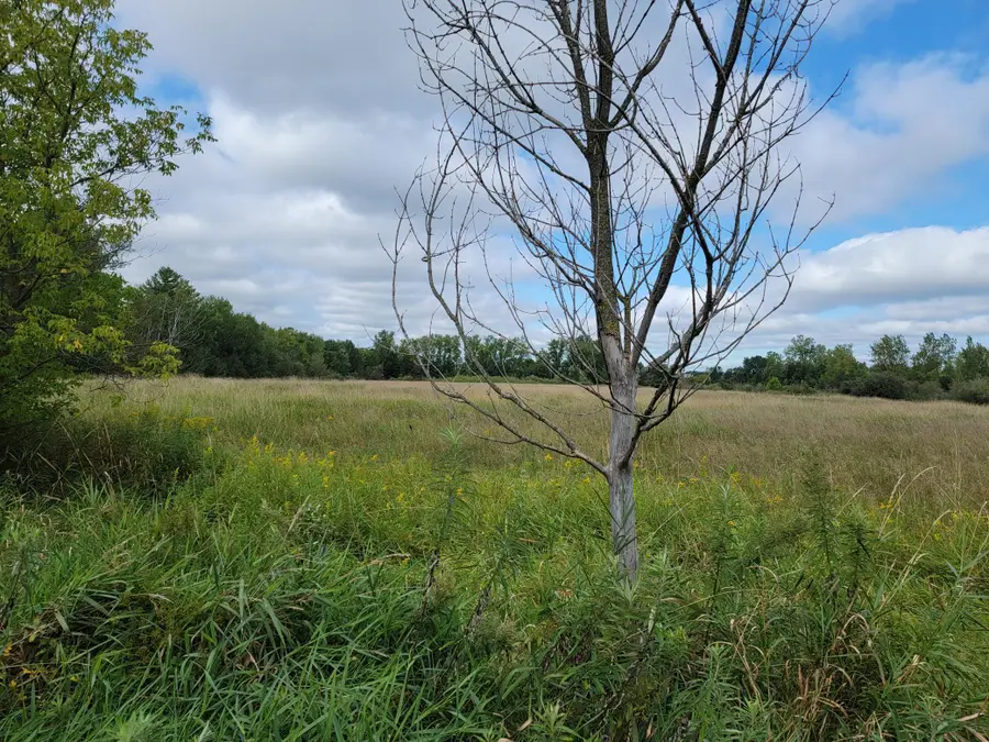 XXX 10th Street Nw, Pine City, MN 55063 - #3