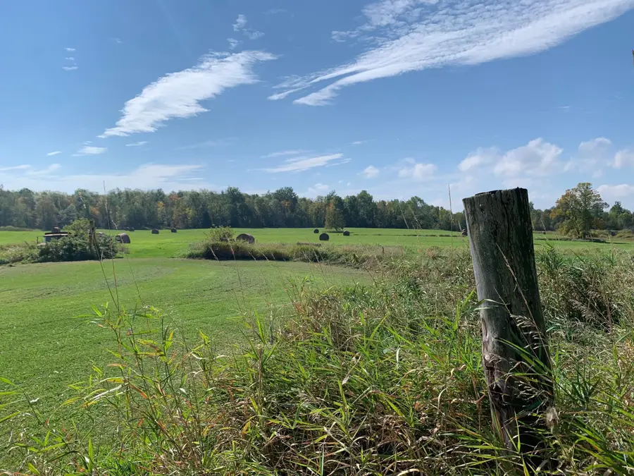 14331 395th Lane, Salo, MN 55787 - Image #3