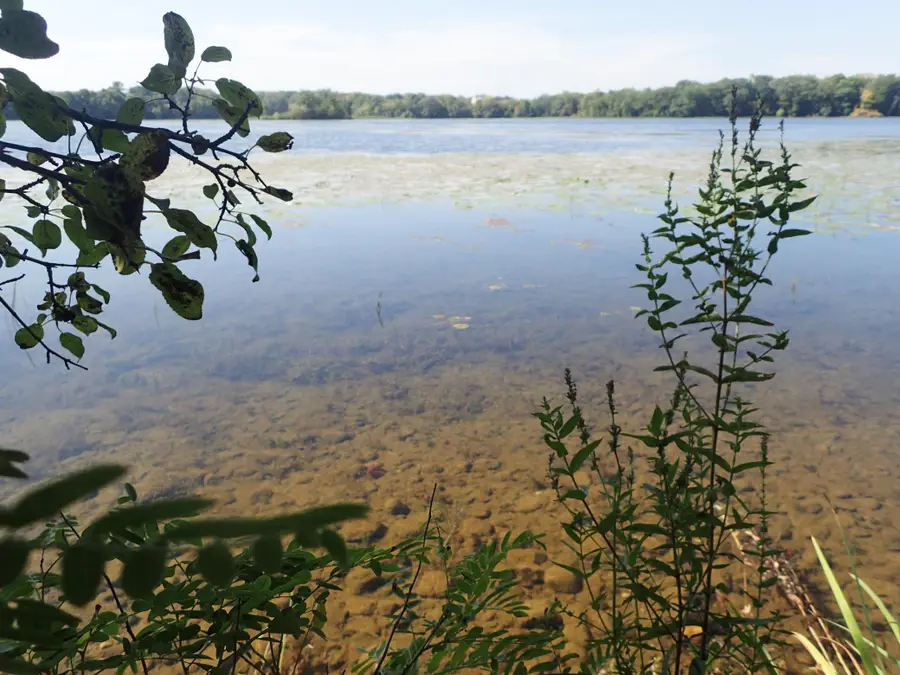 TBD8.5 County Road 106, Monticello, MN 55362 - Image #2