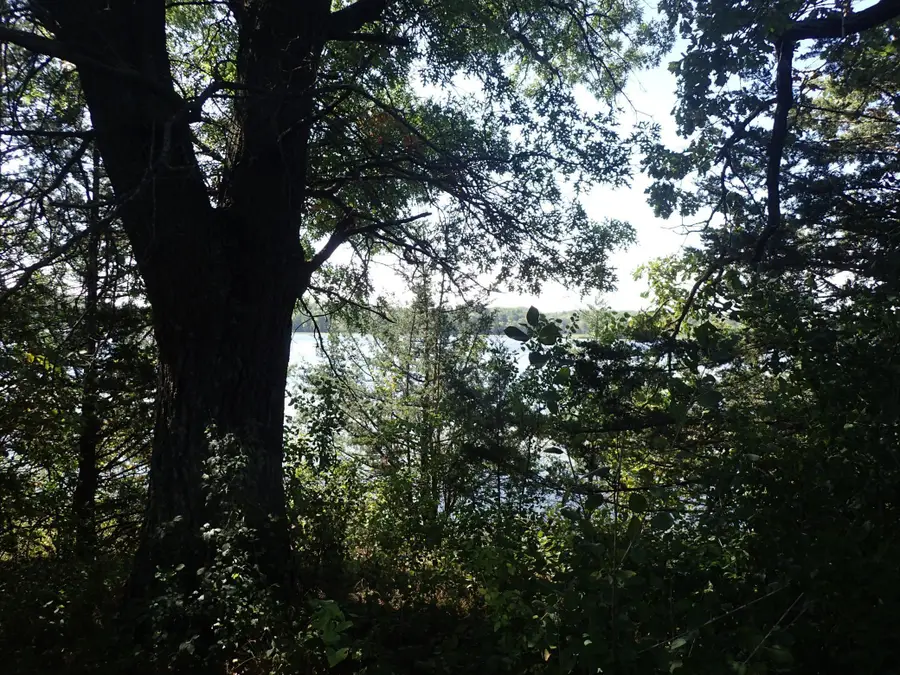TBD8.5 County Road 106, Monticello, MN 55362 - Image #3