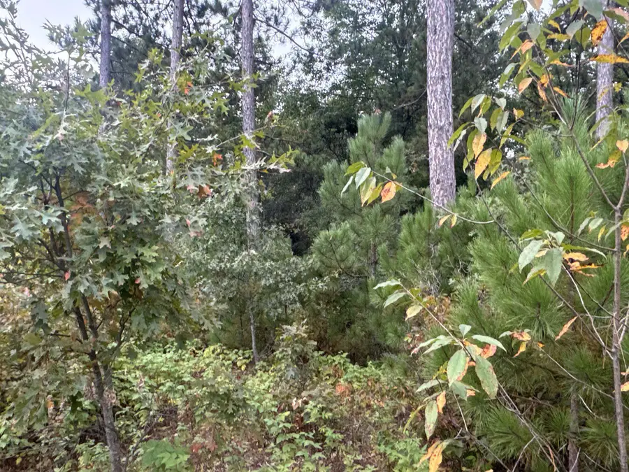 TBD Hayden Lake Road, Oakland, WI 54830 - Image #3