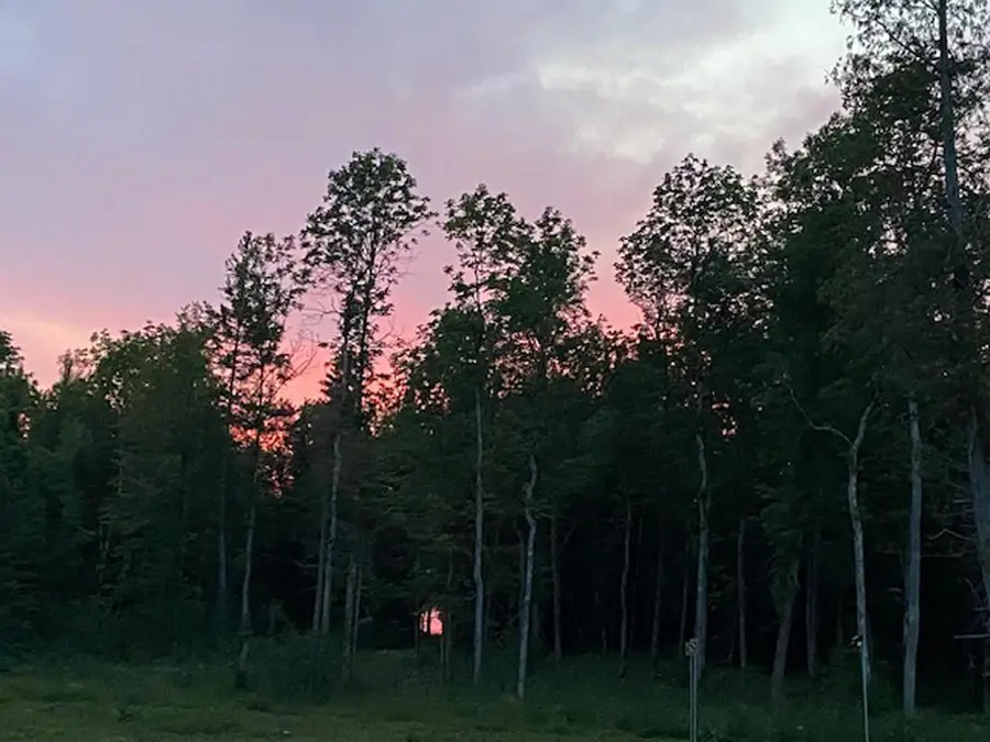 Parcel 4 Hwy 23, Orr, MN 55771 - Image #3