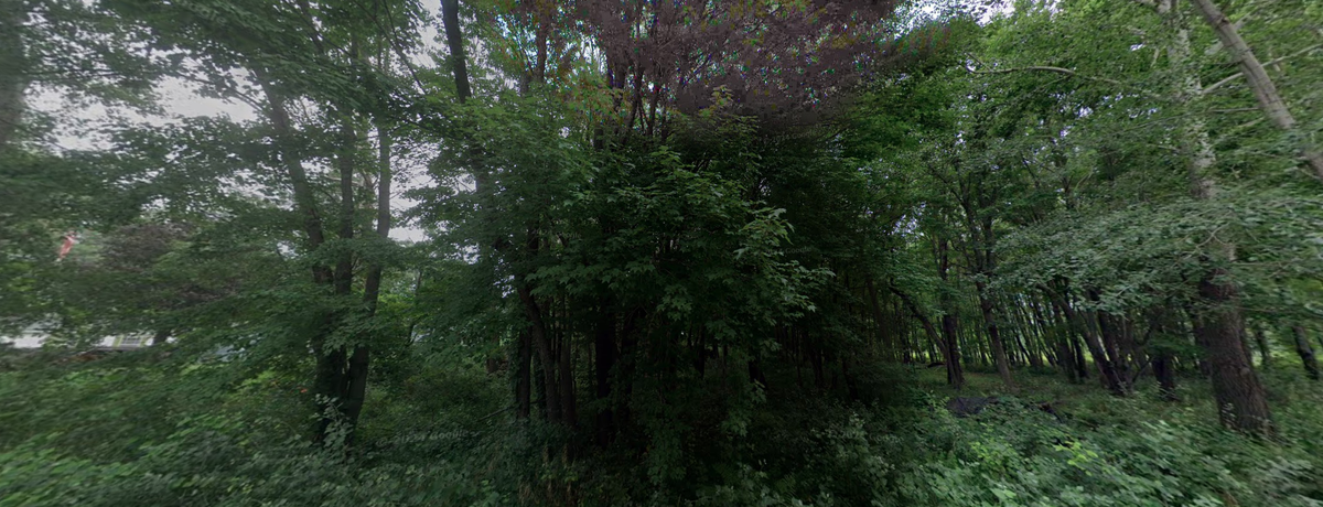 17327 Hiawatha Beach Drive, Ham Lake, MN 55304 - Image #1