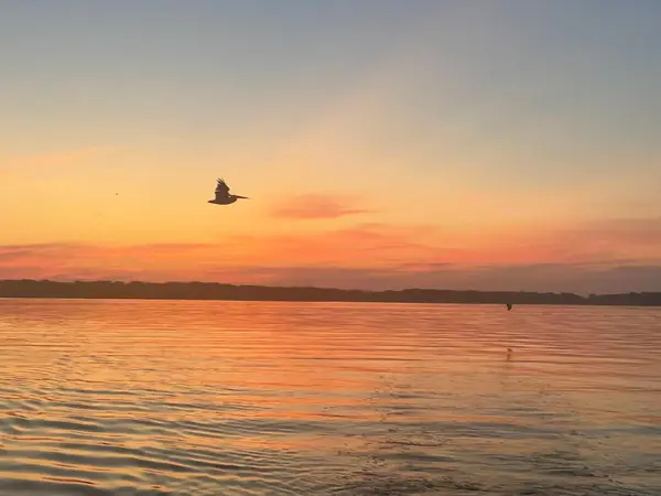 31140 County Road 10, Ashby, MN 56309