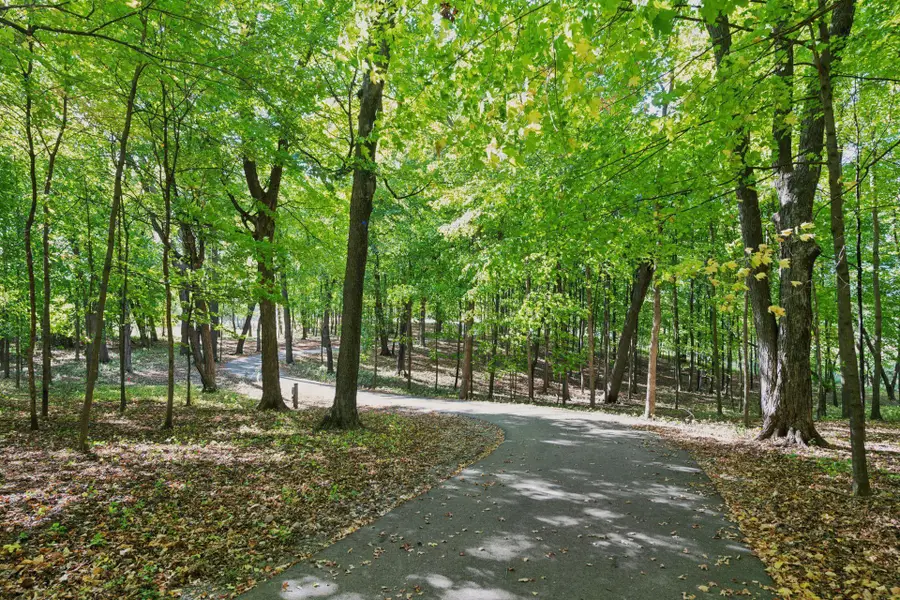 1225 Oakview Road, Medina, MN 55356 - Image #3