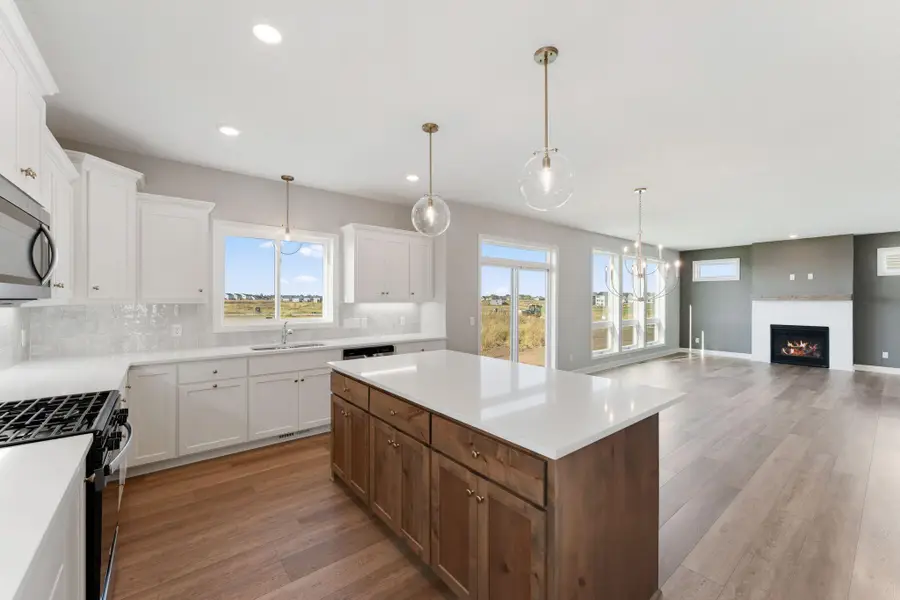 15035 Ardmullivan Lane, Rosemount, MN 55068 - Image #3