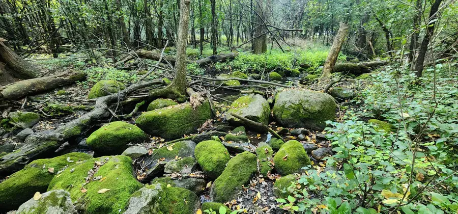 647 Stagecoach Road, Mantorville, MN 55955 - Image #3