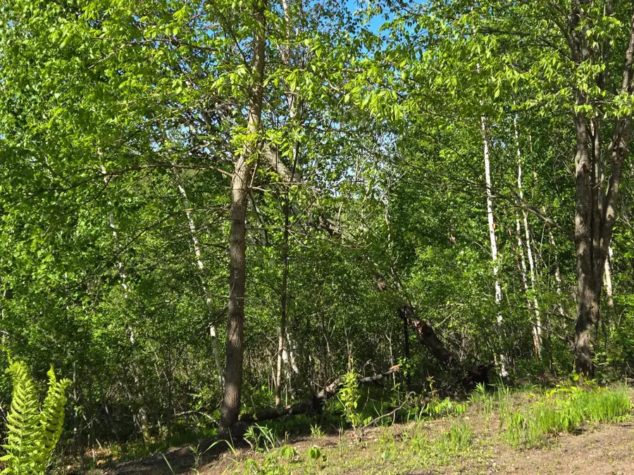 XXXXX 360th Street, Onamia, MN 56359 - Image #3