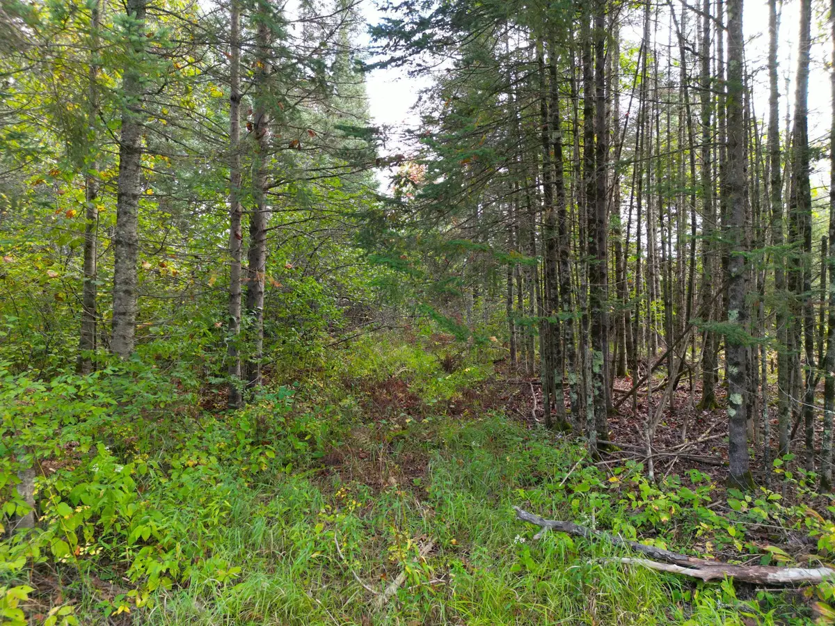 13450 S Swedish Highway, Dairyland, WI 54830 - Image #1