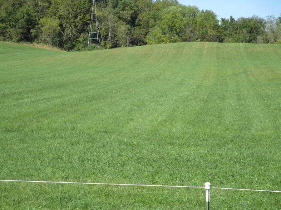 TBD 8th Street Sw, Pine Island, MN 55963 - Image #2