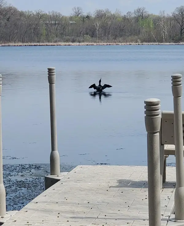 12814 Juniper Road, Saint Joseph, MN 56374