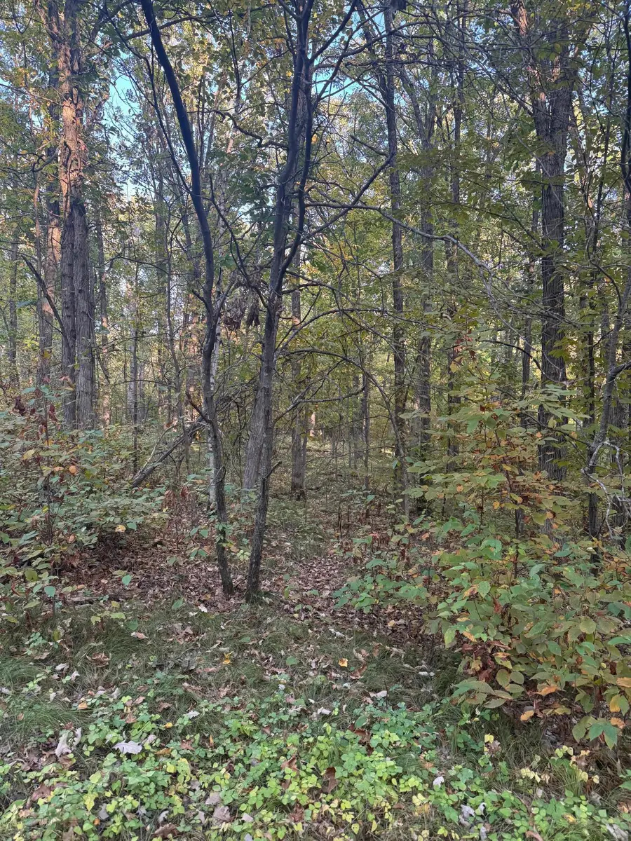 TBD Dell Marie Place, Breezy Point, MN 56472 - Image #3