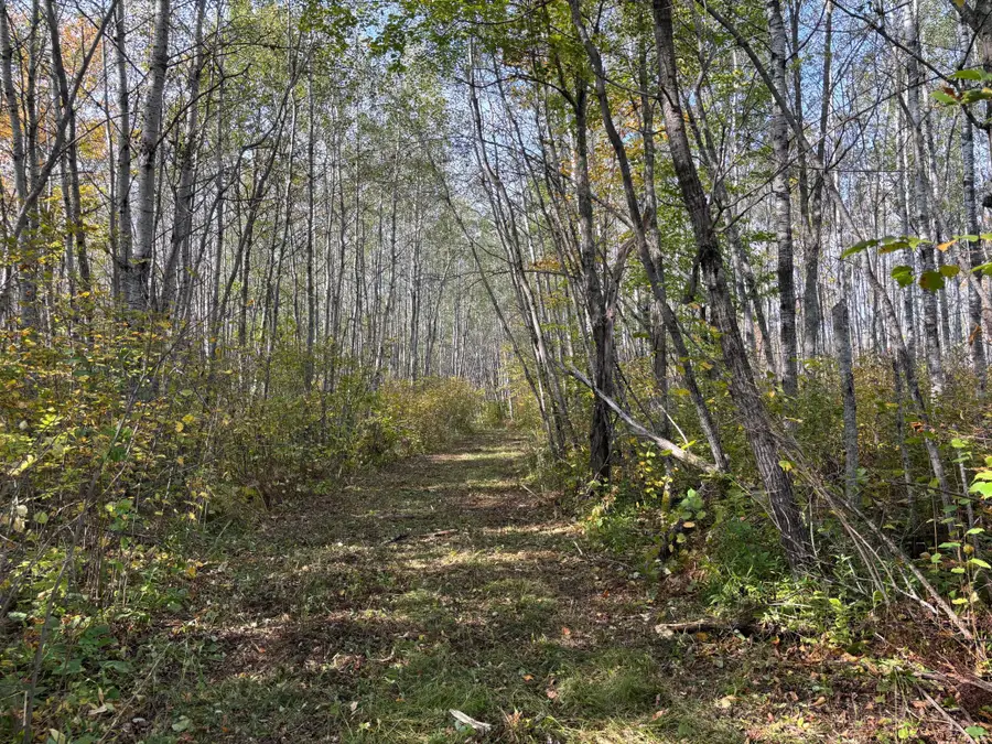 TBD 120th Place, Tamarack, MN 55787 - Image #2