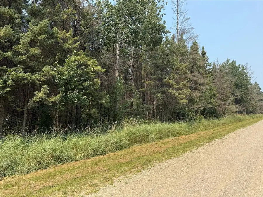 TBD 40 Acres Sunflower, Woodrow, MN 56650 - Image #2