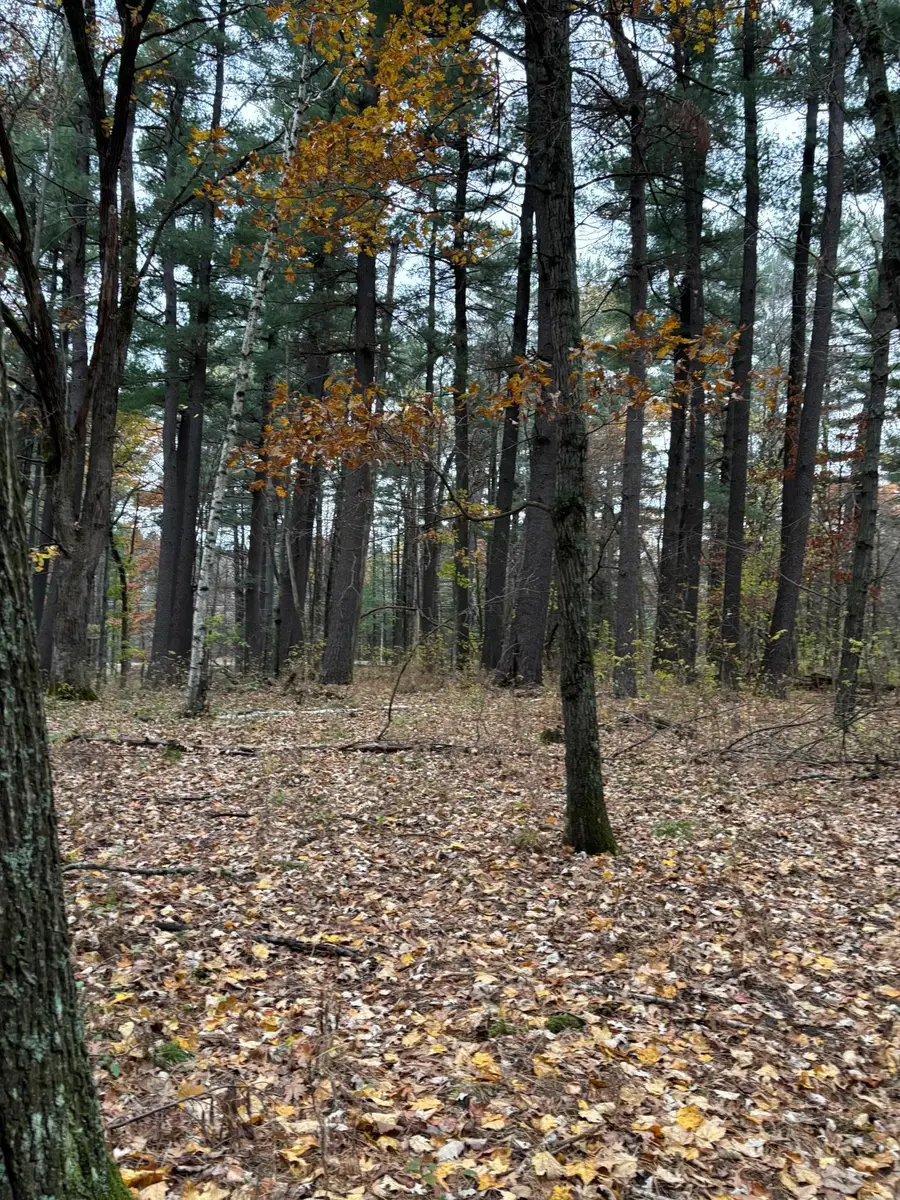 38xxx Jivaro Street Nw, Dalbo, MN 55017 - Image #3